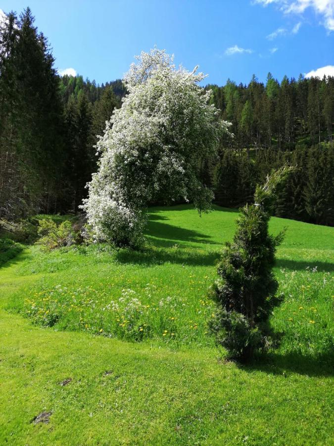 Pension Stoffler Sankt Veit in Defereggen Eksteriør bilde